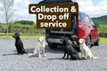 Dog collection and drop off service