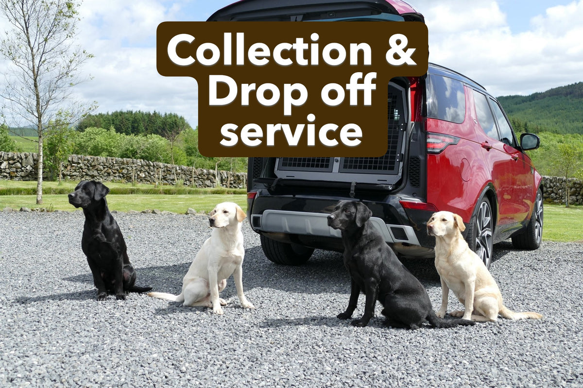 Dog collection and drop off service