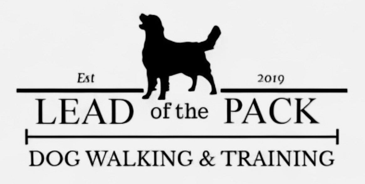 Lead of the Pack - Dog walking & Training