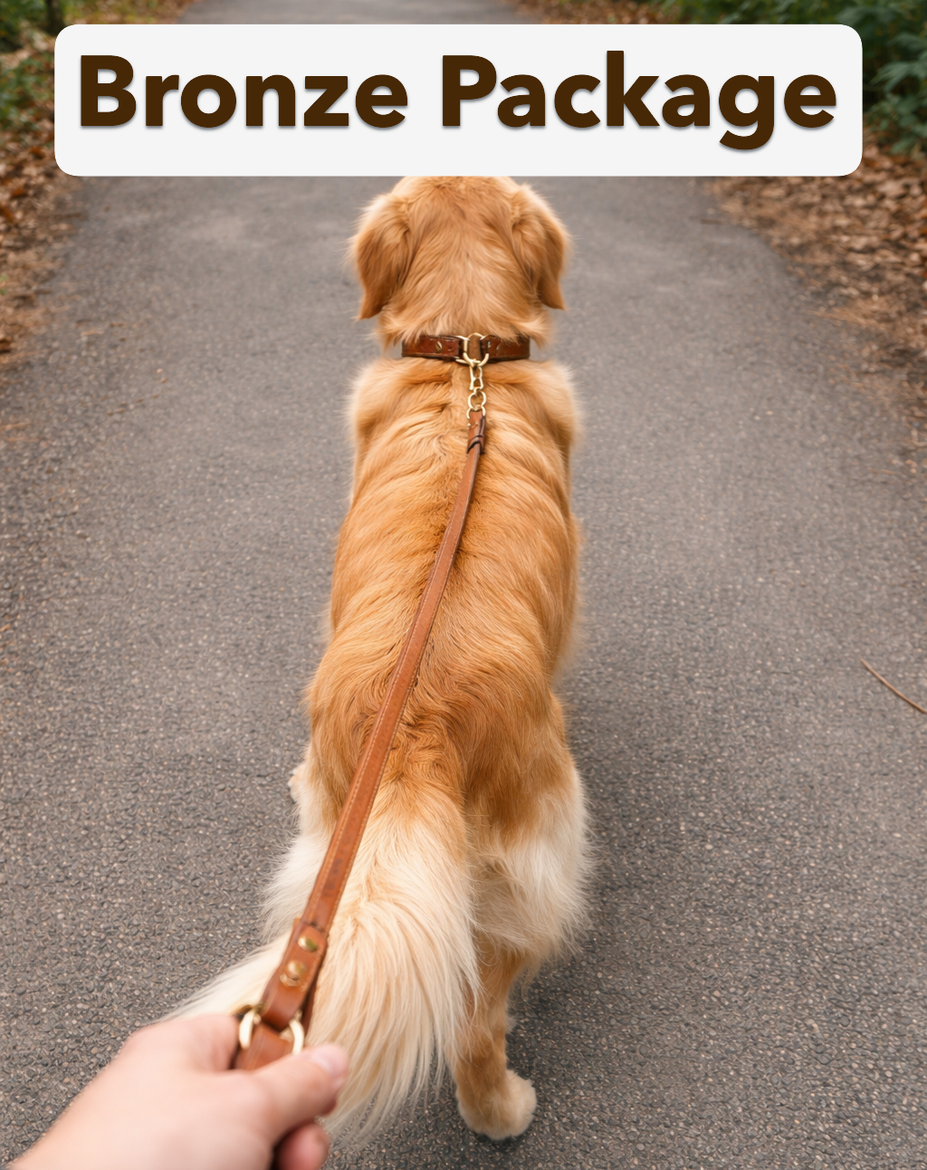 Bronze package - per dog