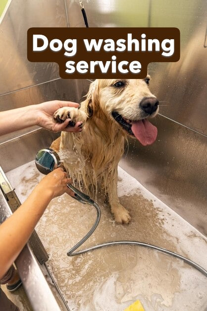 Dog washing service