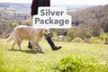 Silver Package - per dog