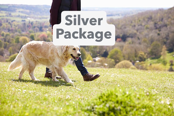 Silver Package - per dog