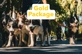 Gold package - per dog