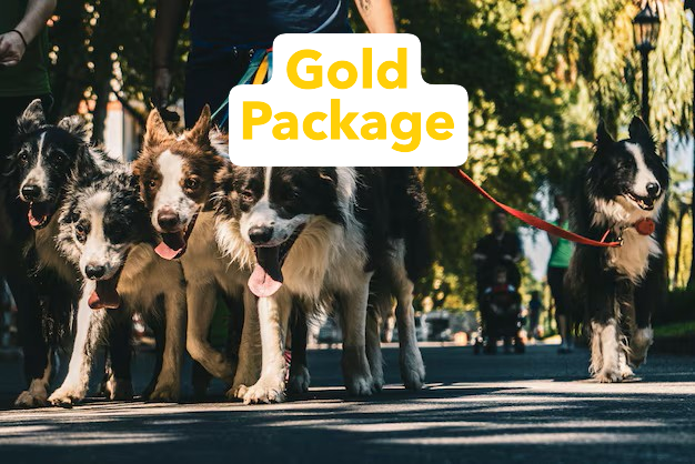 Gold package - per dog
